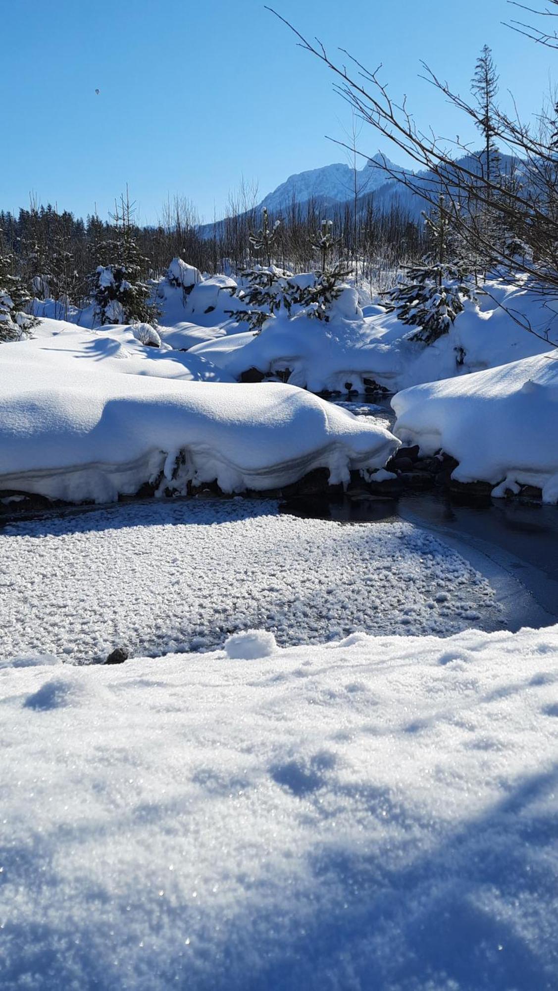 Goralska Chata Przy Dolinie Chocholowskiej Витув Экстерьер фото