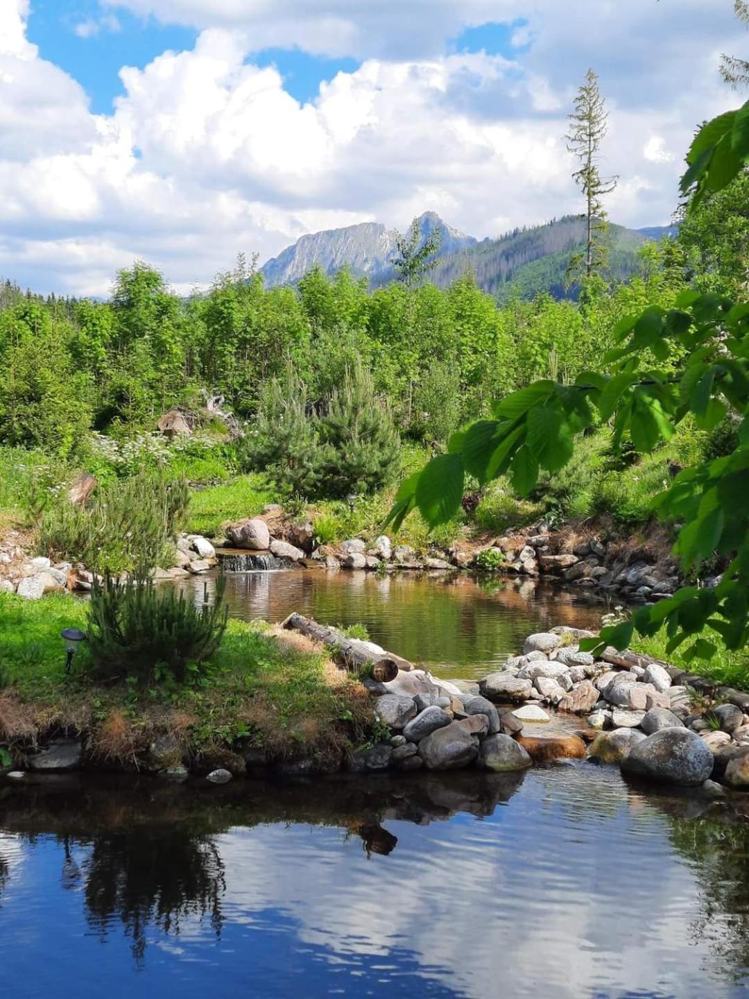 Goralska Chata Przy Dolinie Chocholowskiej Витув Экстерьер фото