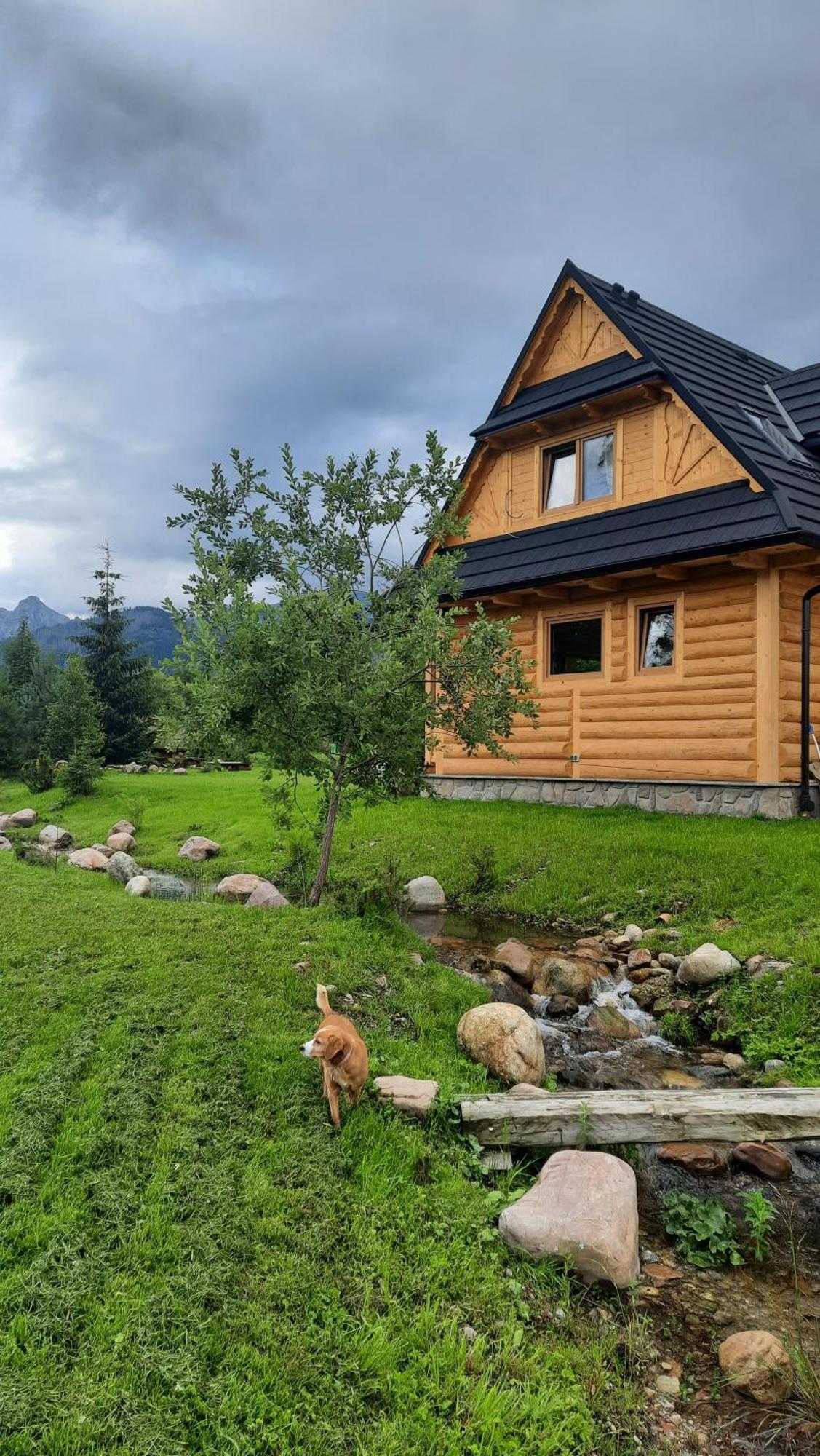 Goralska Chata Przy Dolinie Chocholowskiej Витув Экстерьер фото