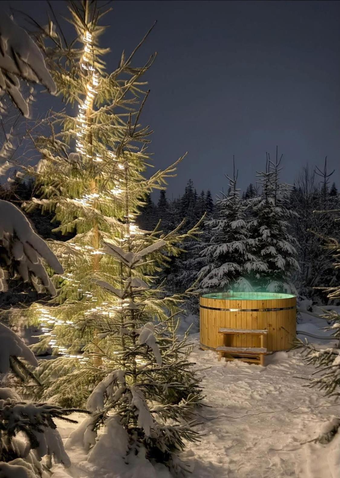 Goralska Chata Przy Dolinie Chocholowskiej Витув Экстерьер фото