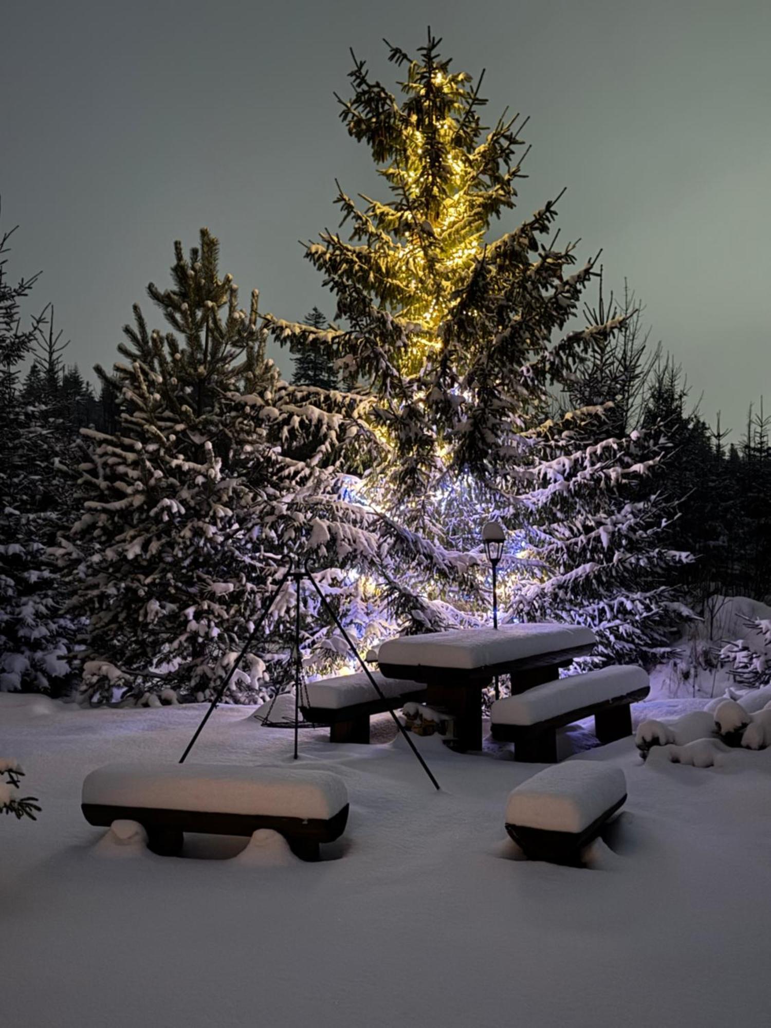 Goralska Chata Przy Dolinie Chocholowskiej Витув Экстерьер фото